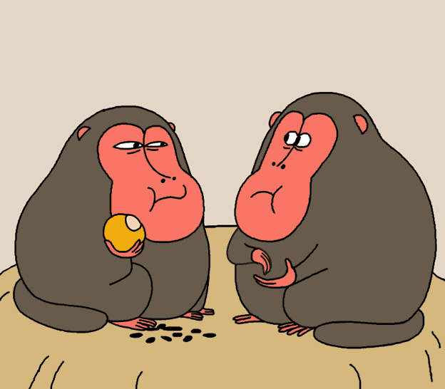 monkey in the zoo cartoon