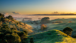 tumblekai:  I had a very early start on Friday (nothing I fancy to be honest) but after an hour or two of driving through foggy, cold darkness I was just in time to see sunrise over the Hauraki Plains. 