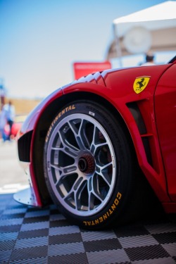 ealuxe:  Ferrari | Source | Facebook | Pinterest