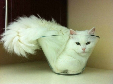 surowiica:  Just chillin’ 
