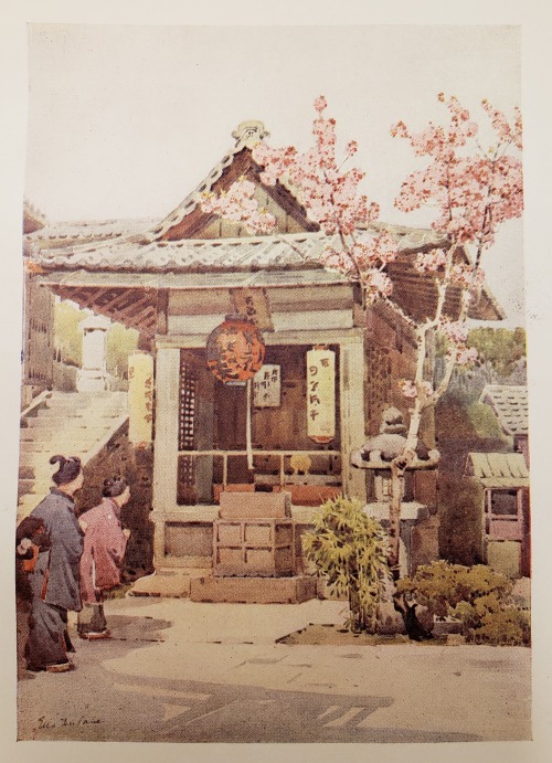 From: Du Cane, Florence. The flowers and gardens of Japan. London : A. and C. Black, 1908SB466.J3 D8