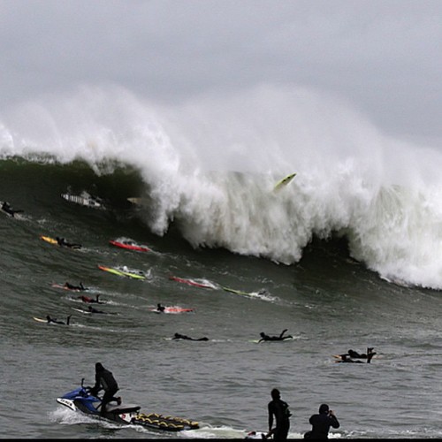 Surfs Up