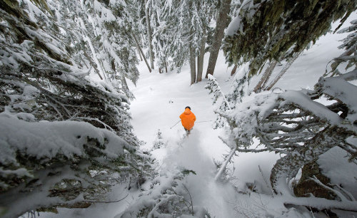 backcountry skiing