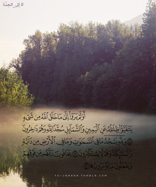 حبيبة