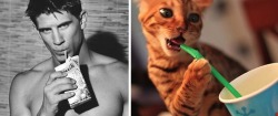 feedthecrazy:  Hot guys &amp; their cat doppelgänger    Yeeees