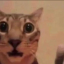 naxiey