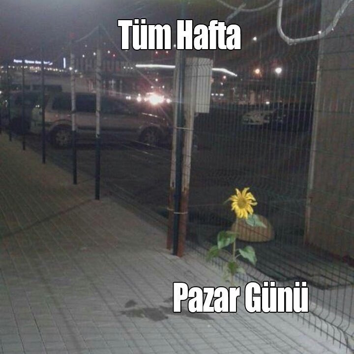 Tüm Hafta
Pazar Giüni