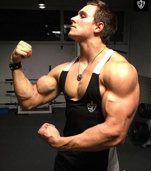Steve Kris