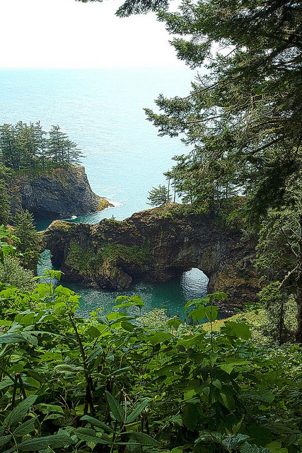 brutalgeneration:  Oregon Coast by gajjgee on Flickr.