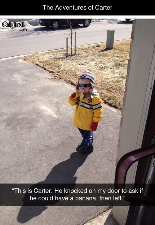 tastefullyoffensive:   The Adventures of Carter [theone211/thisiscarter]Related: