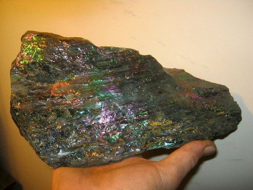 Porn mineralists:  Peacock Coal (Rainbow Anthracite) photos