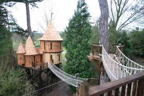 archiemcphee:  This awesome arboreal dwelling is the Living the High Life Tree House created by Blue Forest, a British tree house design and construction firm. It’s a luxury family-sized complex featuring two separate tree houses, one for kids and one