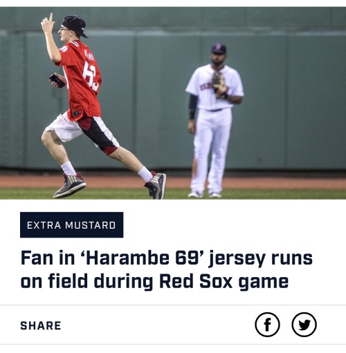 captain-problematic:affeldts:I love sportsDICKS OUT FOR THE RED SOX