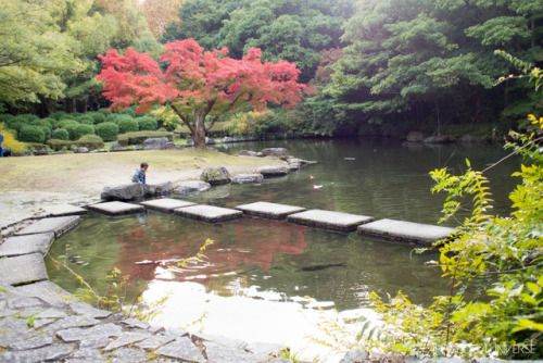 Bilan de ce voyage
Entre excuse et opportunité, je suis reparti plus tôt que prévu pour le Japon. J’ai pu faire les photos de couple de Yusuke mon ami d’Hitachinaka mais je suis resté plus longtemps après.
J’ai profité d’un séjour sur Tokyo pour me...