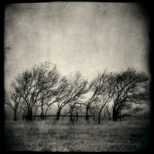 Photographer not given,  Forbidden, South Prairie, Washington, 2008