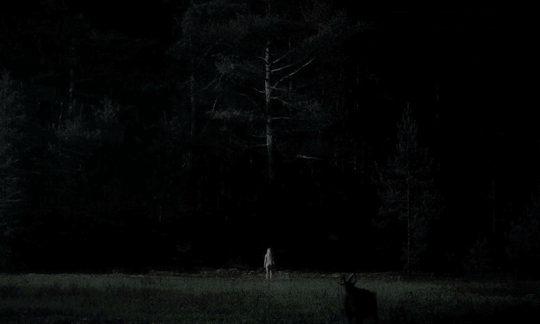 red-hood-vigilante:favourite films (13/?): the witch (2015)you’ve cursed this