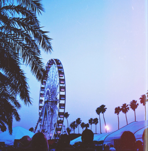 Coachella 2014.