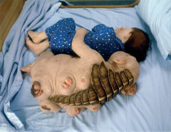 Sixpenceee:  Scuptures By Patricia Piccinini Some Of Her Rather Odd Pieces Of Art Were