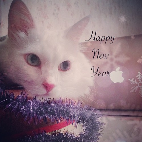 martinaelm: Let all wishes come true!Пусть все желания сбываются!Happy New Year! С Новым годом! #hap