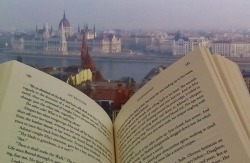 books-and-cookies:  “I wandered everywhere, through cities and countries wide. And everywhere I went, the world was on my side.” ― Roman Payne, Rooftop Soliloquy  
