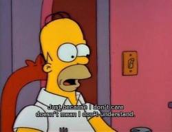bestofhomer:  Homer understands more then