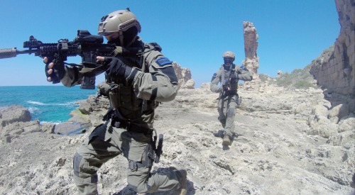 gunrunnerhell:Shayetet 13Translated as Flotilla 13 and better known as S13, they are part of the Isr