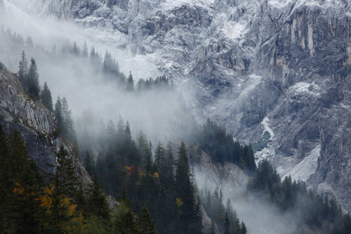 that time of the year when the future appears by Wolfgang Schrittwieser