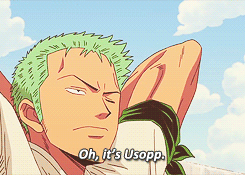 zoros:  &ldquo;This guy’s nose is square… which means… he’s Square-Usopp!&rdquo;