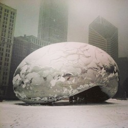 The #Bean #mycity #art #downtown #chicago