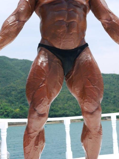 musclecomposition:Bodybuilder, Lee Terry