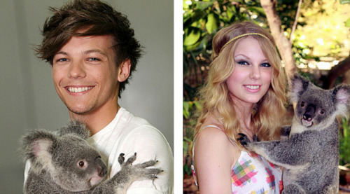 Louis &amp; Taylor have gone koala krazy!    http://www.maximumpop.co.uk/celebrities-with-koalas-tre