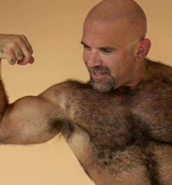 Bears ,Daddy's And Muscle Men All Night Long