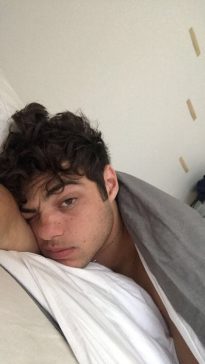 Sex geekgayguy:Noah Centineo pictures