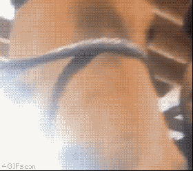 carlosvlstr:  They are in a stable relationship