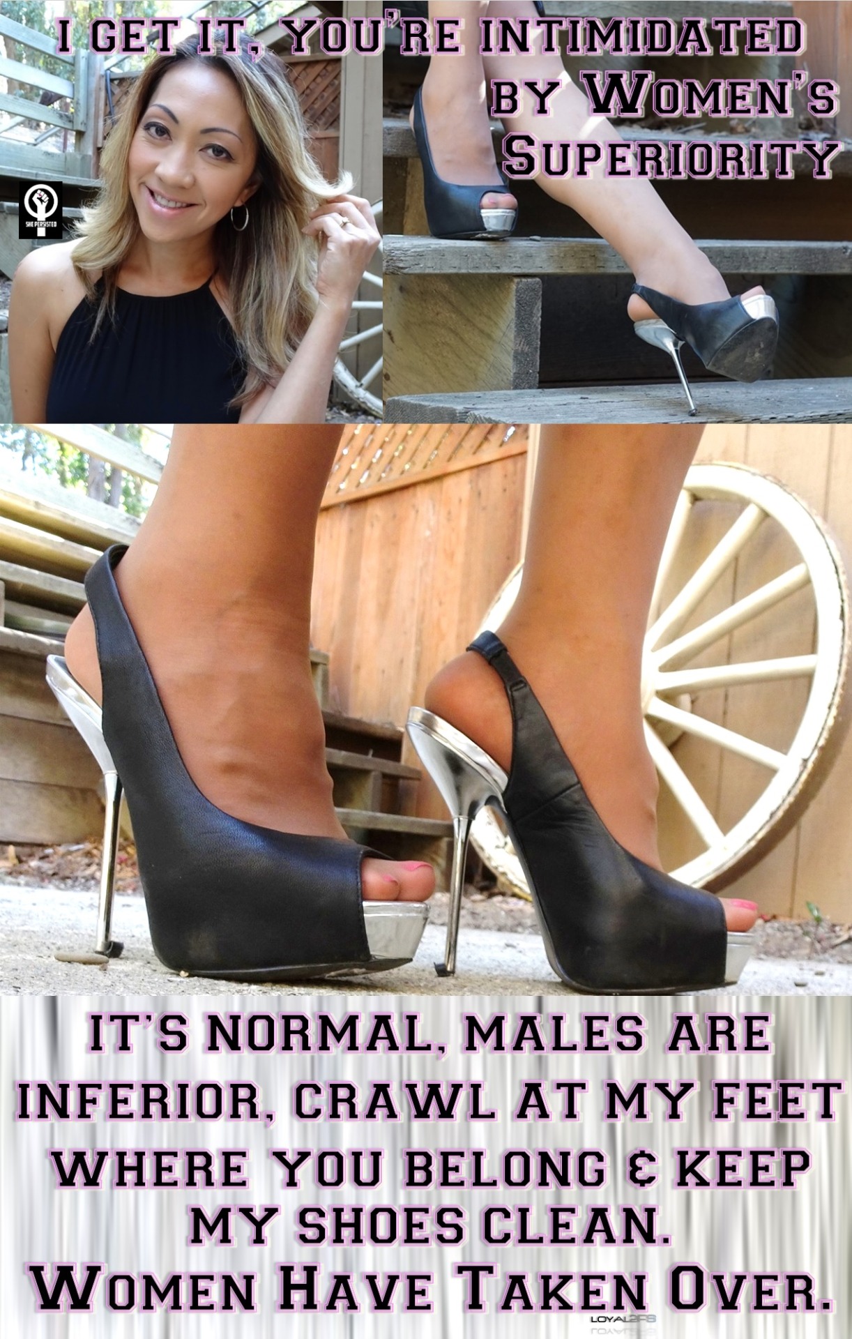 loyal2fs:  Resistance is Futile, Obey Women.Thanks to: Cammile.com