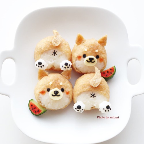 shiba inu