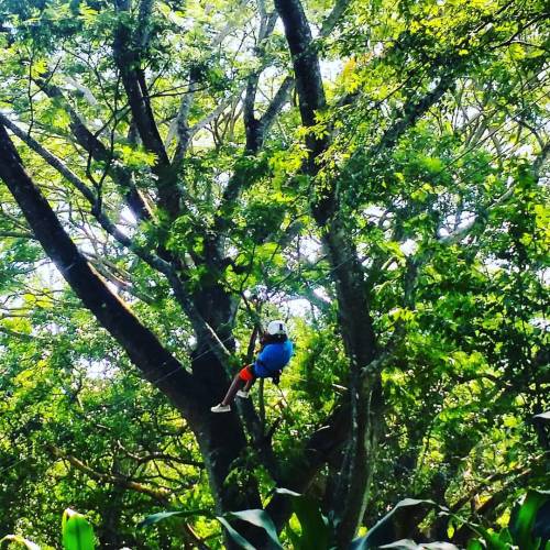 surfnicawaves:  Wooooooo- Ziplining in Mombacho  #Kidsloveit #Nicaragua #Tropical #Adventure #funtim