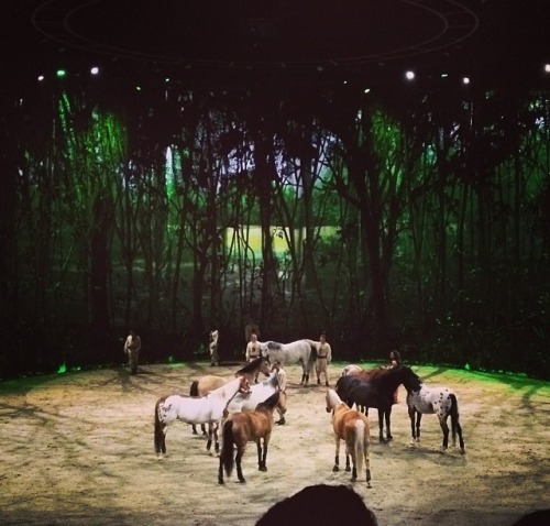 Guys guess what?!!? I got to go see Cavalia&rsquo;s Odysseo here in Calgary yesterday!!!!! It was so