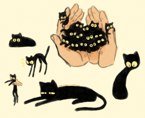 halfabouros: purplequay: its fun to draw cats when you dont know cat anatomy  They look normal 