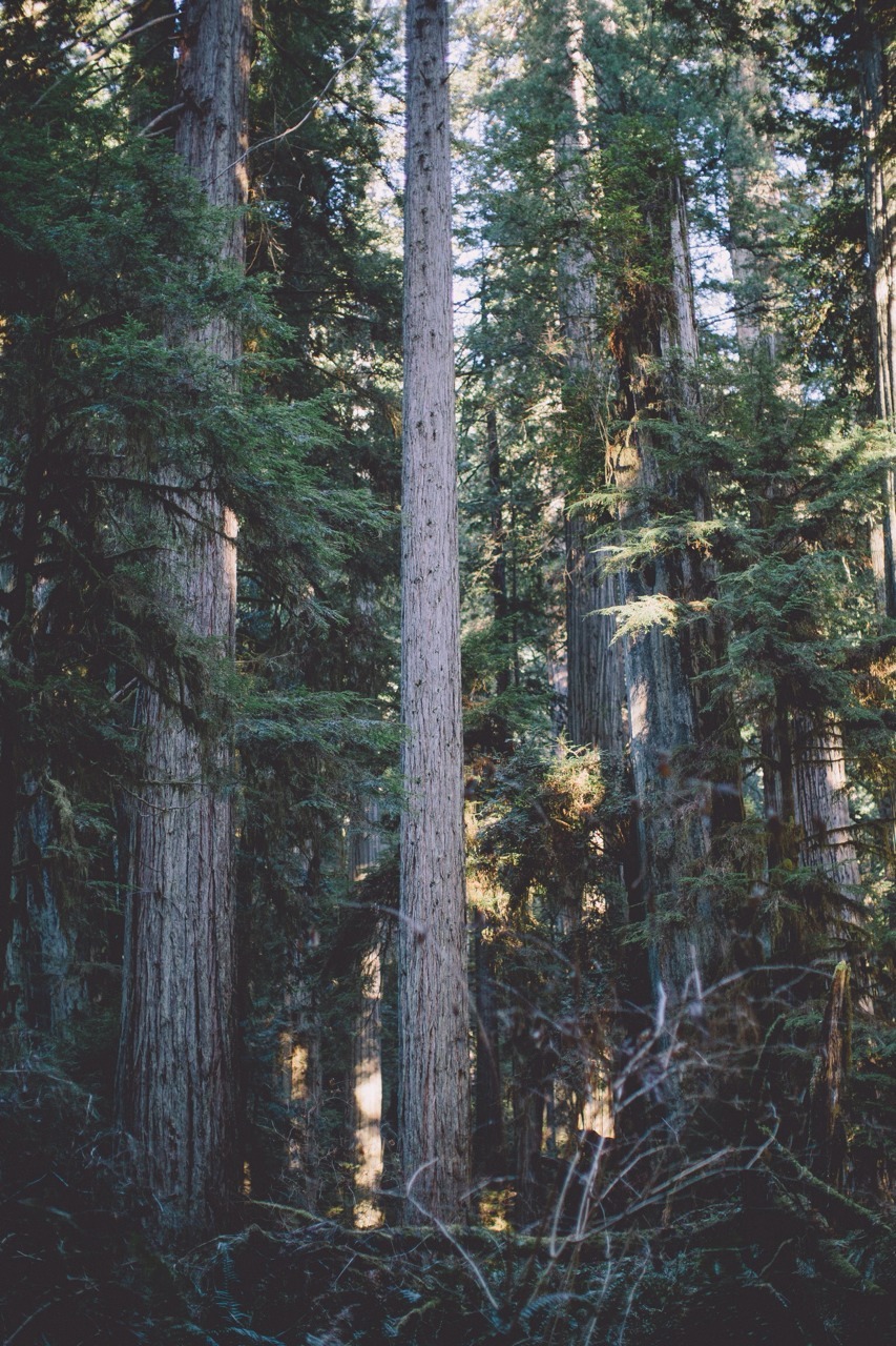 eartheld:  mostly nature