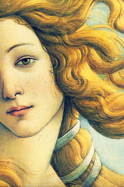omendes:  Birth of Venus - Sandro Botticelli