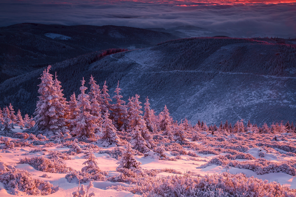 te5seract:    First Breath of the Sun &amp;  A Sunrise To Remember.  by  Iza