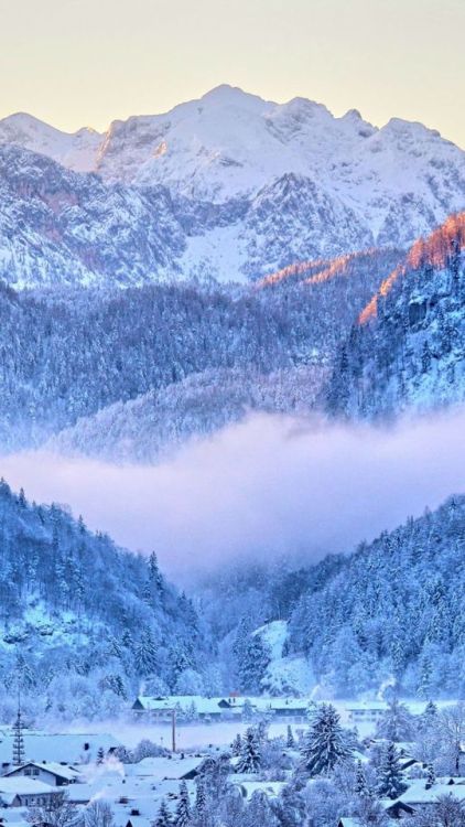 Inzell, mountains, city, tree, 720x1280 wallpaper @wallpapersmug : https://ift.tt/2FI4itB - https://