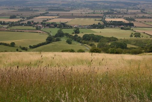 Day 1139 - a  view over the Vale of Pickering