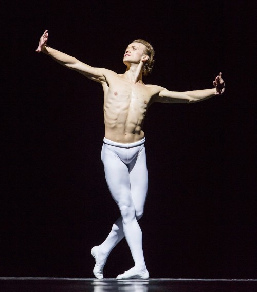 olivier37:Denis Matvienko - Ballet Mariinsky