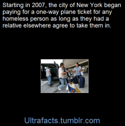 ultrafacts:    (Fact Source) for more facts, follow Ultrafacts   