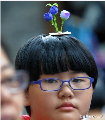 cctvnews:  Bean sprout flowers are blossoming nationwide as over 100 kinds of hairpins