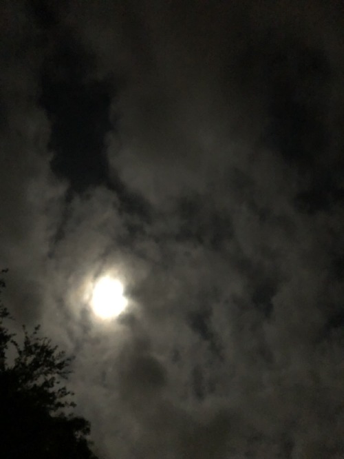 Some Pictures I took of the moon tonight 6/15/19