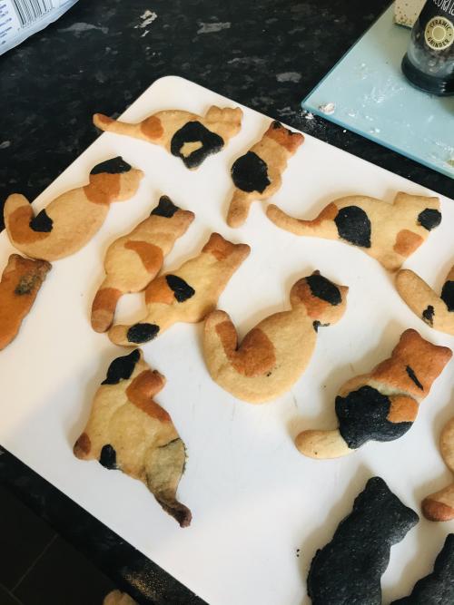 I was bored and I made calico cat cookies! So happy with how they turned out