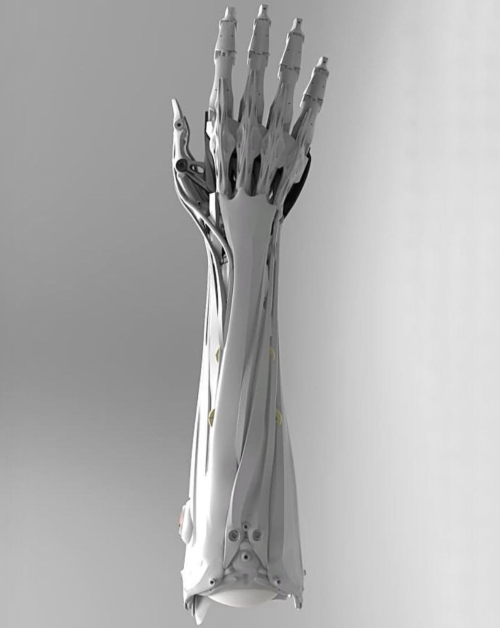 rhubarbes:  Biomimicry prosthetic limb by @_supersymmetry 